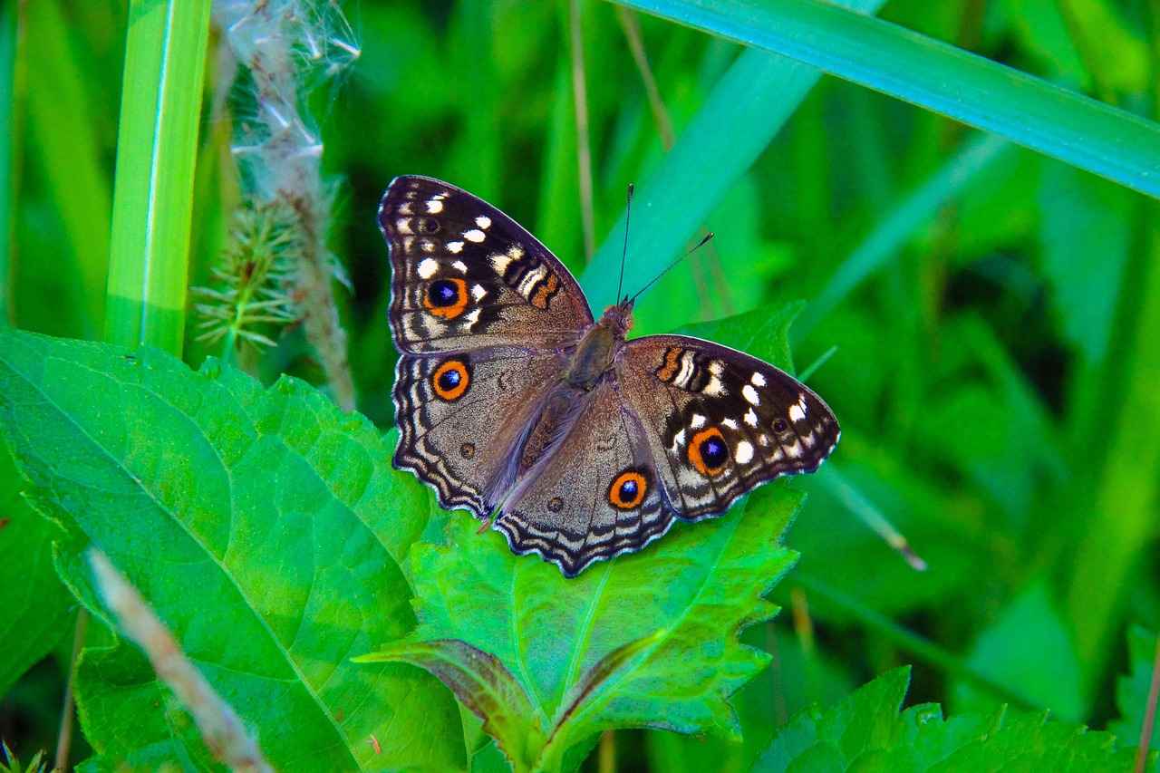 İdrar Akışını Ölçen Üroflometri Cihazları: Tanı Sürecinde Kullanımı İdrar Akışını Ölçen Üroflometri Cihazları: Tanı Sürecinde Kullanımı