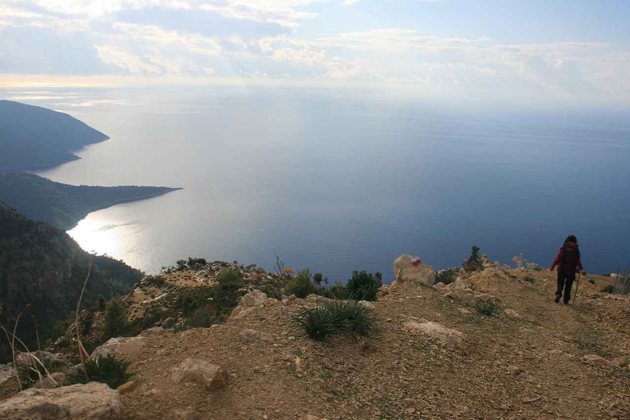 İdrar Yolu Enfeksiyonlarını Önleyen Kateter Teknolojileri İdrar Yolu Enfeksiyonlarını Önleyen Kateter Teknolojileri