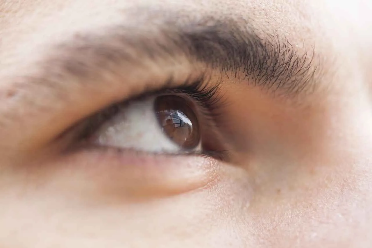 Yapay Retina Teknolojisi: Görme Engelli Hastalar İçin Çığır Açan Çözümler Yapay Retina Teknolojisi: Görme Engelli Hastalar İçin Çığır Açan Çözümler