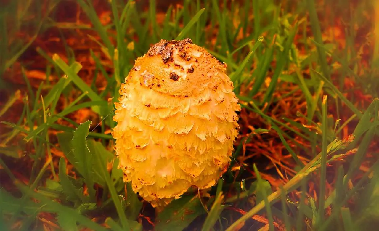 Yeni Nesil Kardiyak Monitörler: Kalp Ritminizi Anlık Olarak Nasıl Takip Edebilirsiniz? Yeni Nesil Kardiyak Monitörler: Kalp Ritminizi Anlık Olarak Nasıl Takip Edebilirsiniz?