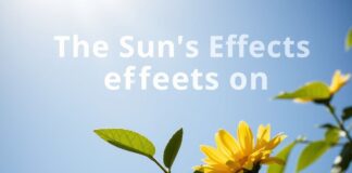 Güneşin Sağlık Üzerindeki Etkileri: Bilmediğiniz 10 Faktör The Sun's Effects on Health: 10 Factors You Didn't Know About