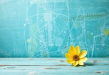 Sanatsal Terapi ve Ruh Sağlığı: İfade ve İyileşme Yolu Art Therapy and Mental Health: Pathways of Expression and Healing