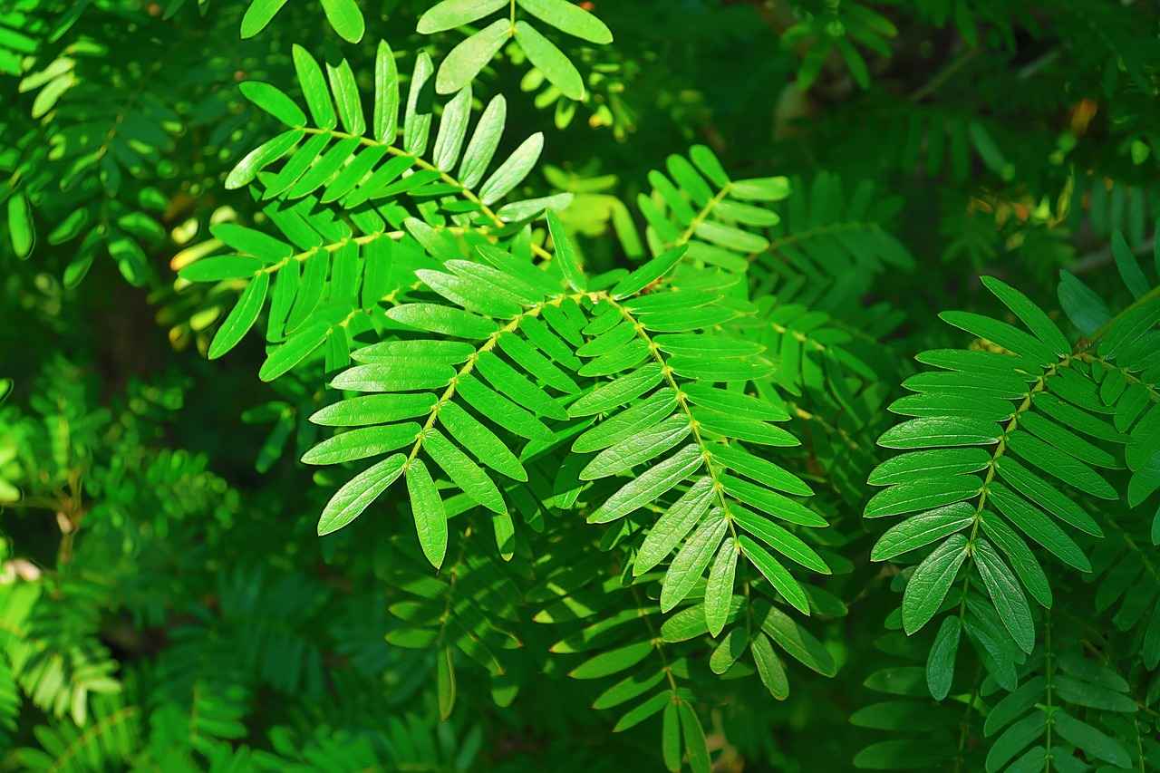 Böbrek Hastalarında Kan Basıncı Takibi: Hipertansiyonun Etkileri ve Cihazlar