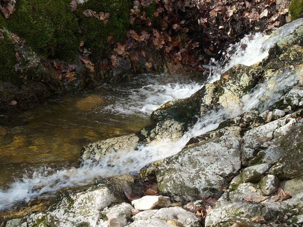 Kablosuz Kalp Pilleri: Klasik Kalp Pillerine Göre Avantajları Nelerdir?