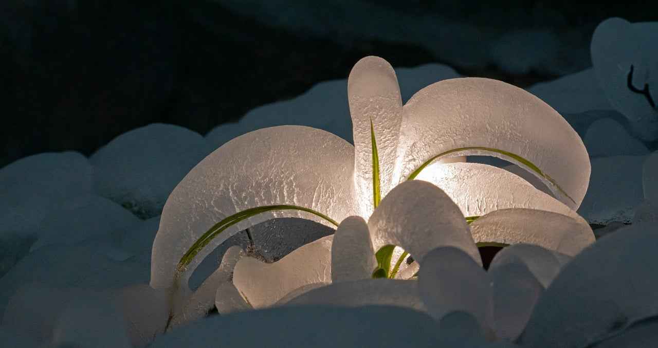 Oksijen Maskeleri: Solunum Tedavisinin En Yaygın Kullanılan Aletleri