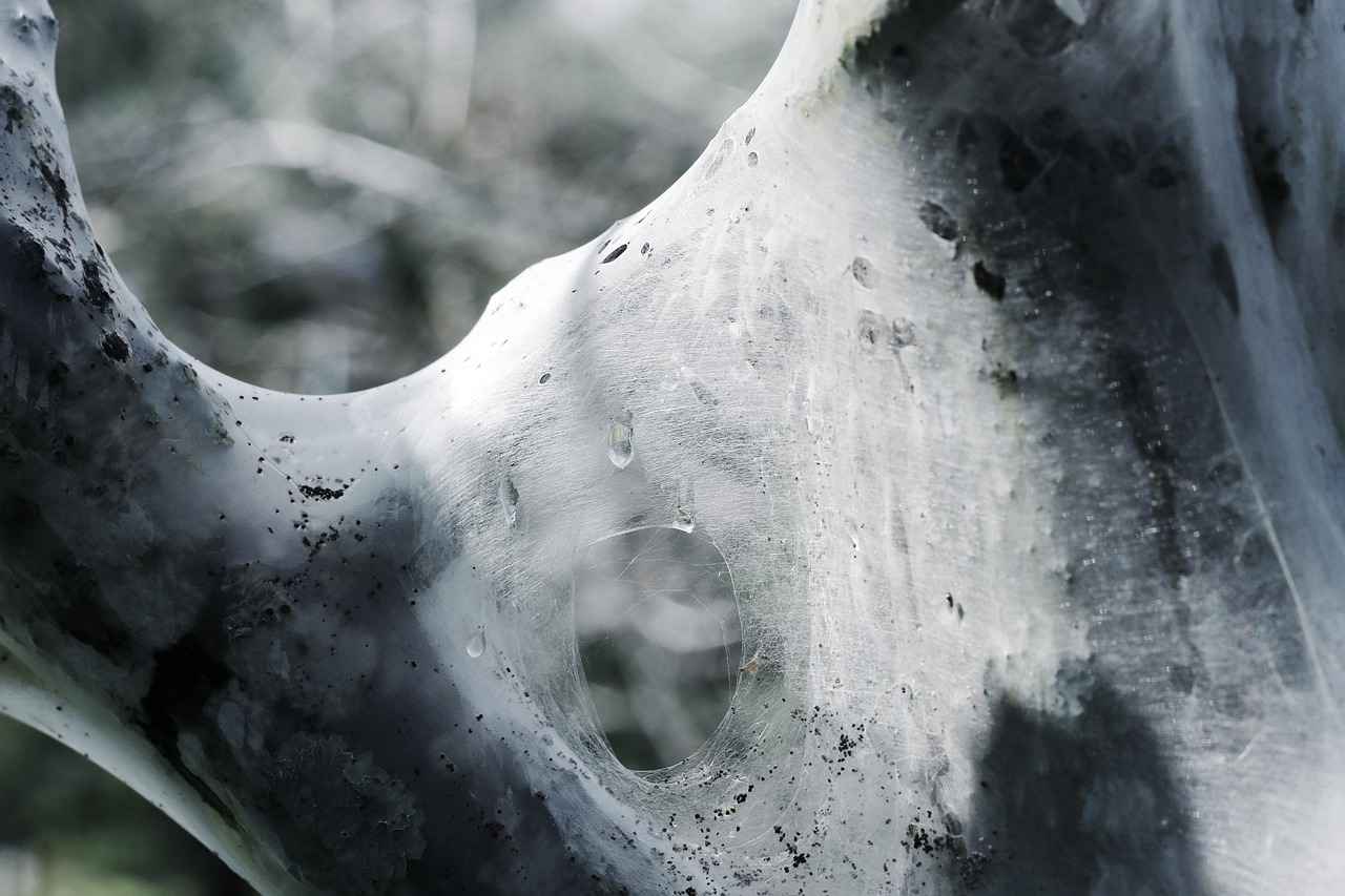 Parkinson Hastalığında Derin Beyin Stimülasyonu: Hastaların Deneyimleri