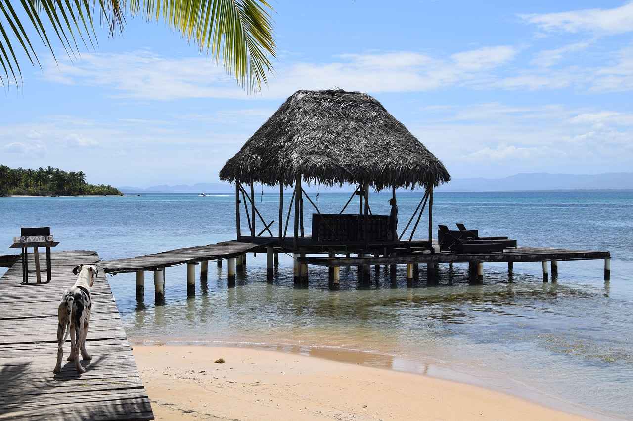 Reflü Tedavisinde Kullanılan Tıbbi Cihazlar: Mide Asidini Kontrol Altına Alma Yöntemleri