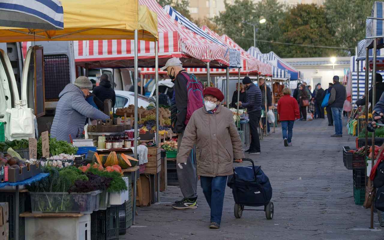 Sinir Hasarı Tedavisinde Elektriksel Uyarımın Rolü