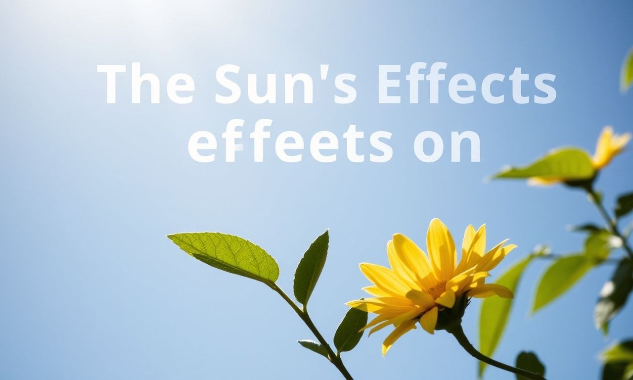 Güneşin Sağlık Üzerindeki Etkileri: Bilmediğiniz 10 Faktör